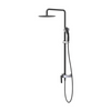 Matte Black Design Bathroom Shower Set Double Functions Wall Mounted Shower Faucet