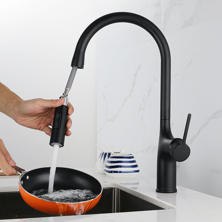Single Handle Matte Black Pull Down Sink Kitchen Faucets Pull Out Spring Kitchen Faucet