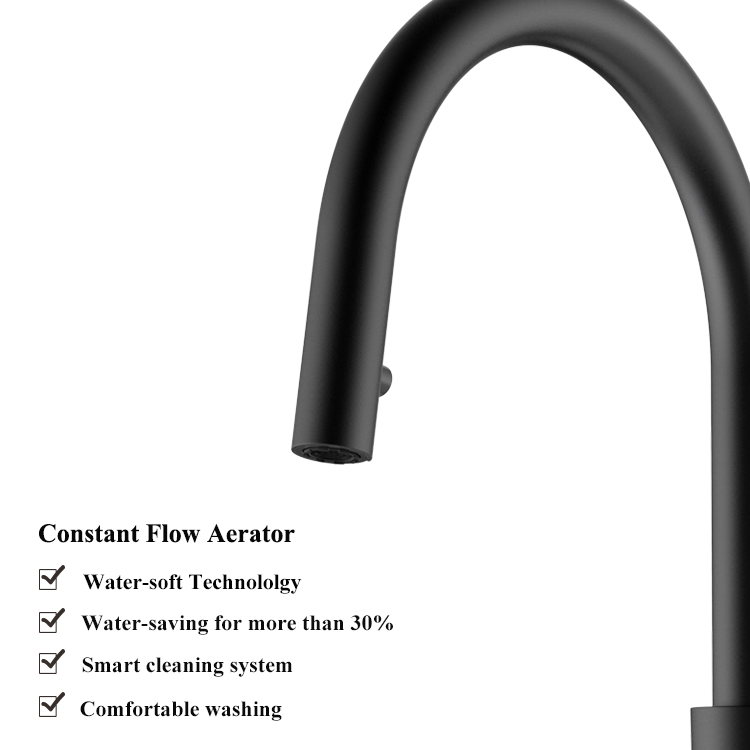 Hot and Cold Water Black Pull Out Sprayer Kitchen Faucet New Design Single Lever Sink Mixer 